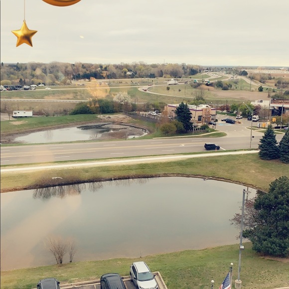 Meet your Posher, Ricky - Picture 1 of 1